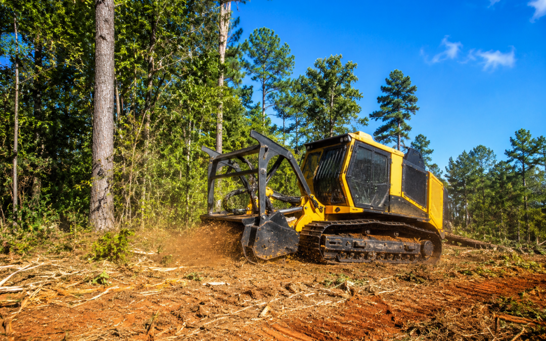 Land Clearing Guide Shreveport Homeowners: What You Need to Know Before You Start